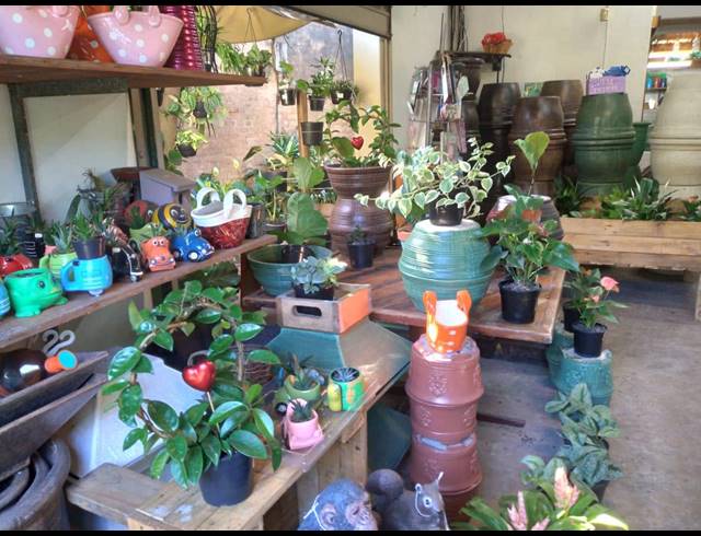 894M² BUSINESS FOR SALE IN BLUFF